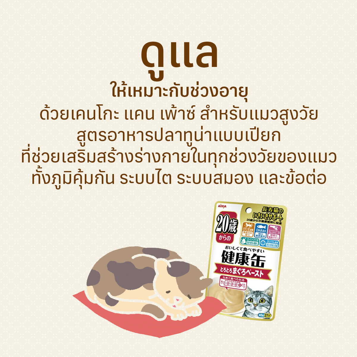 เคนโกะ แคน เพ้าซ์ สำหรับแมวสูงวัย ปลาทูน่าแบบเปียก สูตร3