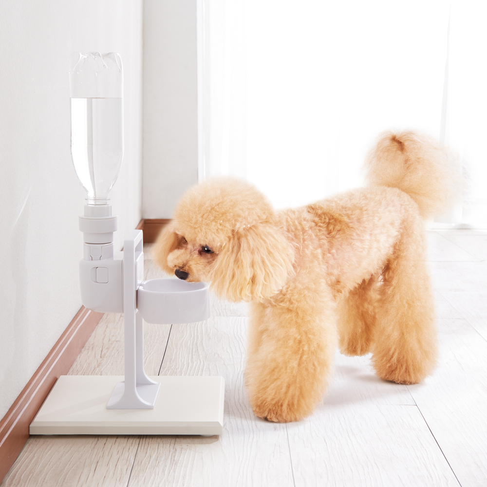 GEX Drink Bowl Stand แท่นสำหรับยึดชามน้ำติดกรงหรือที่ให้น้ำติดกรง